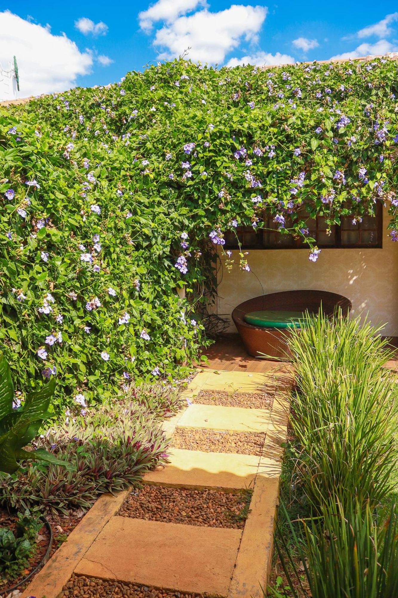 Portal Da Mata Hotel Santa Fe do Sul Exterior photo